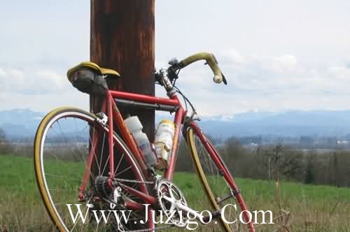 努力优秀的句子,温柔且上进的句子(精选55句)