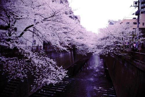 生活短句唯美句子