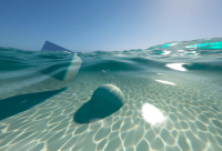 ​讽刺人只认钱的句子 经典讽刺人虚伪的句子(精选24句)