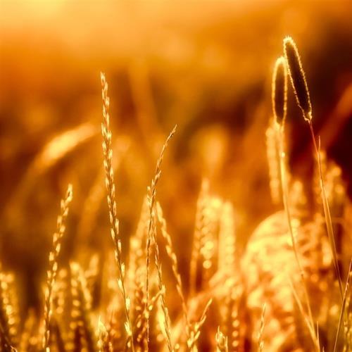 跨年浪漫的句子