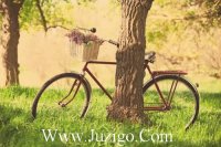 ​关于七月的句子唯美短句关于七月的唯美句子(精选25句)