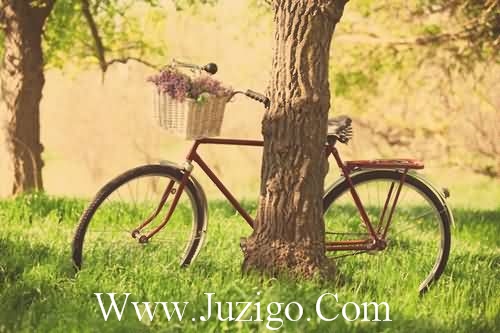 关于七月的句子唯美短句关于七月的唯美句子(精选25句)