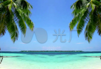 ​凤囚凰经典台词 凤求凰经典台词(精选27句)