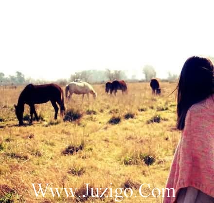 鲁鲁修语录24句