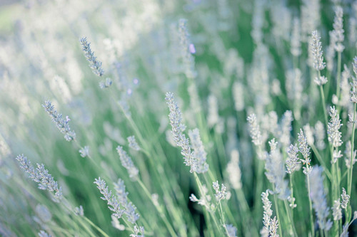 新木乃伊台词17句