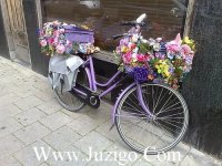 ​诚恳的谚语36句