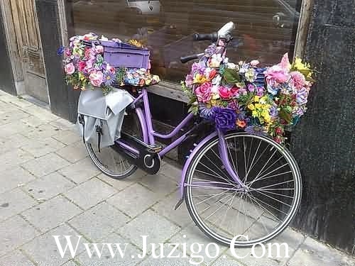 诚恳的谚语36句