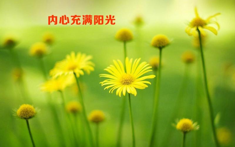 比较励志有深度有涵养的图片 非常有励志内涵的高清图片