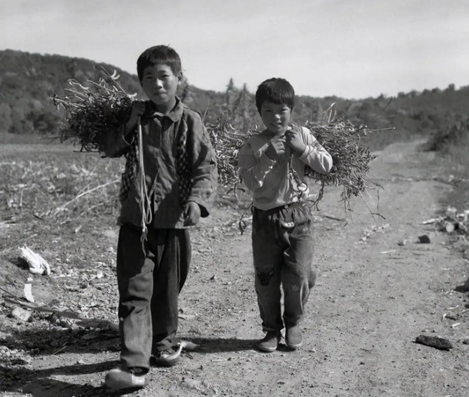 小时候的农村生活图片 小时候的农村生活图片大全