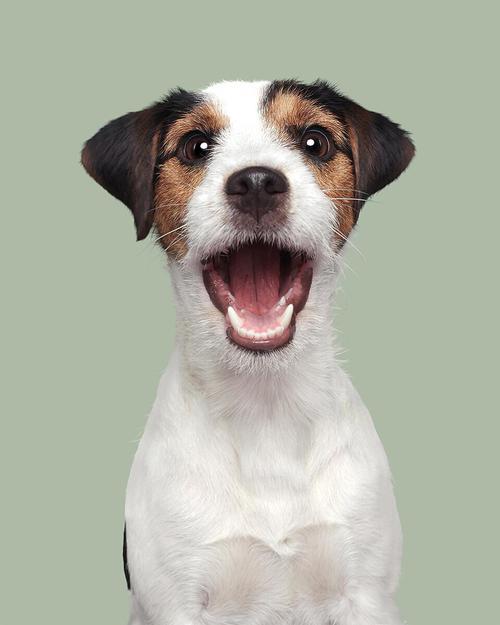 有趣图片 有趣图片发朋友圈