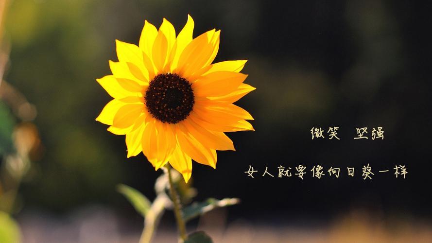 励志图片正能量图片女生 励志图片正能量图片女生背影