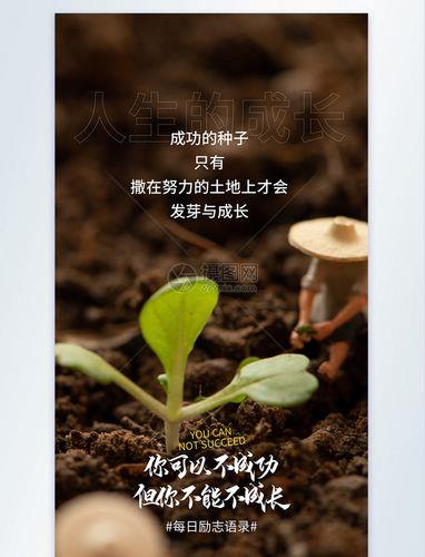 成长图片励志唯美图片高清 成长图片励志唯美图片高清壁纸