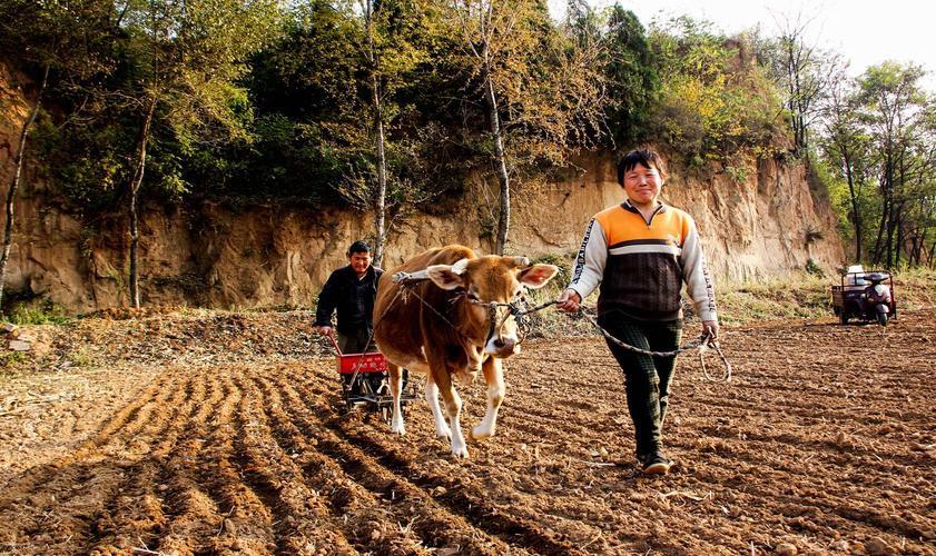 关于农村生活的图片 关于农村生活的图片素材