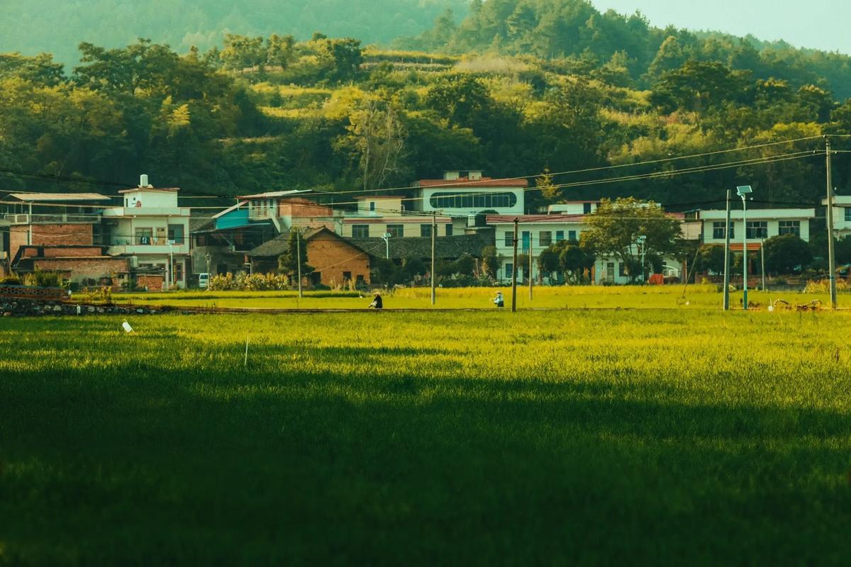 关于农村生活的图片 关于农村生活的图片素材