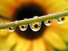 好听的一句话爱情句子 伤感的爱情句子一句话