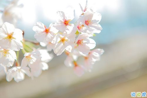 情侣秀恩爱的爱情句子合集 你侬我侬的唯美爱情句子2