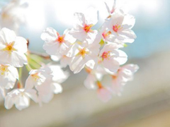 情侣秀恩爱的爱情句子合集 我喜欢你是因为你独