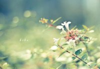 早上好励志正能量句子 早安心语正能量一句话