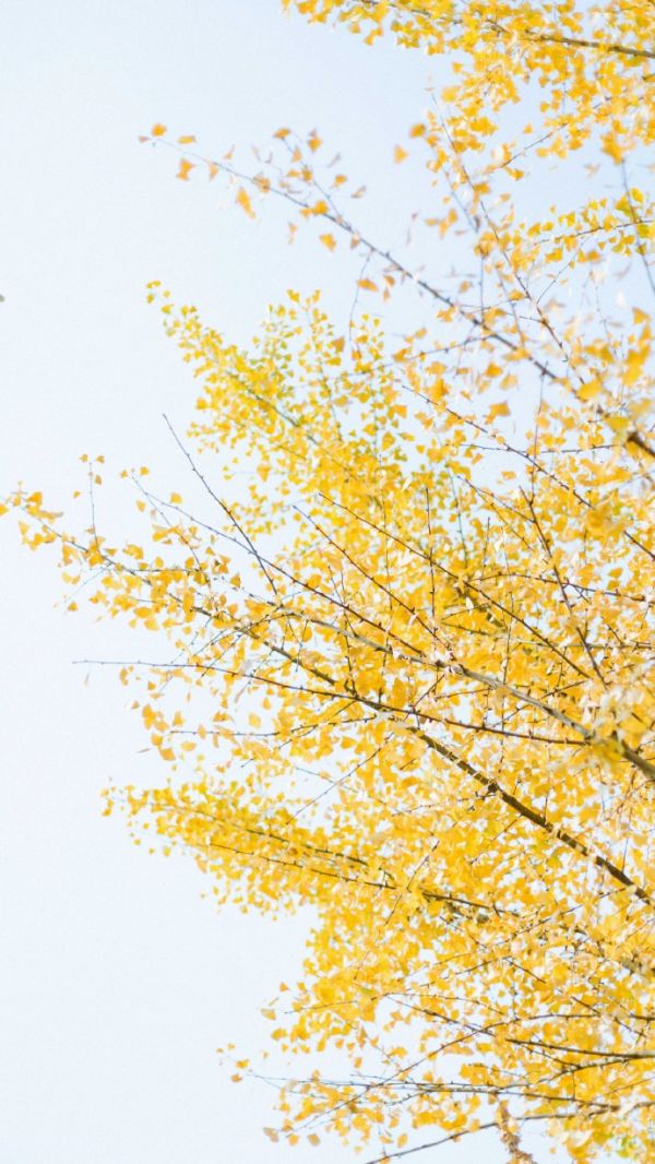 唯美图片，文字图片,情侣图片