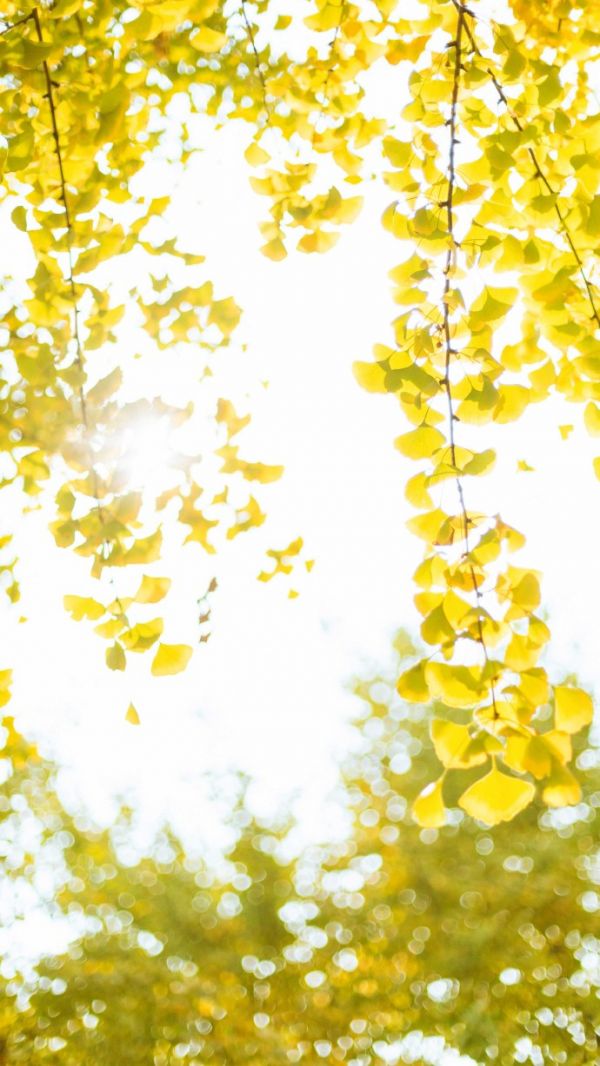 唯美图片，文字图片,情侣图片