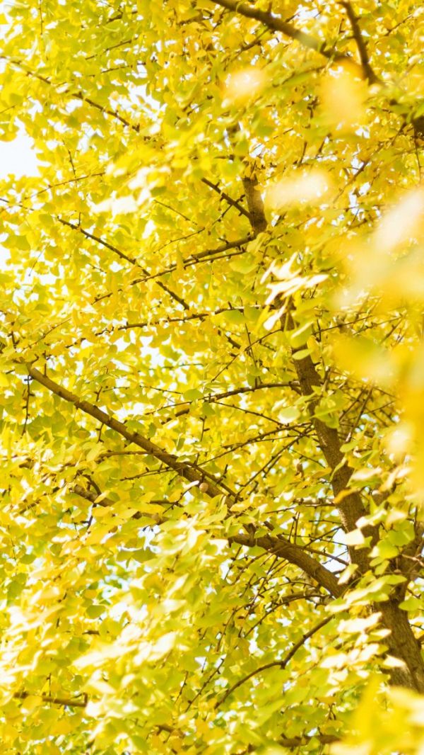 唯美图片，文字图片,情侣图片