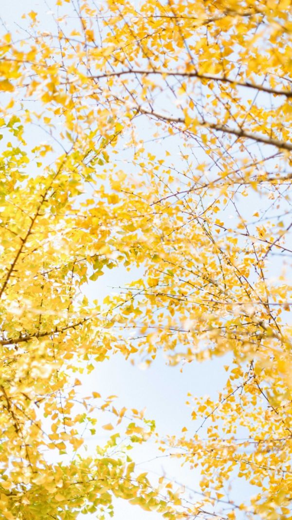 唯美图片，文字图片,情侣图片