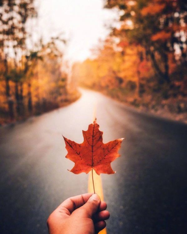 唯美图片，文字图片,情侣图片