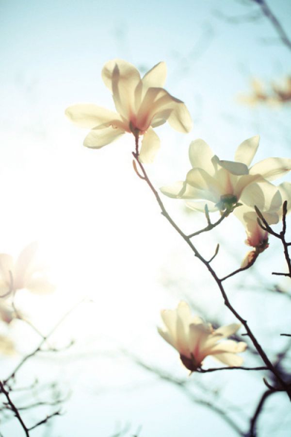 唯美图片，文字图片,情侣图片