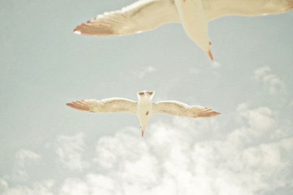 唯美图片，文字图片,情侣图片