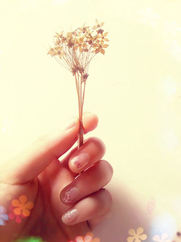 唯美图片，文字图片,情侣图片qqjay