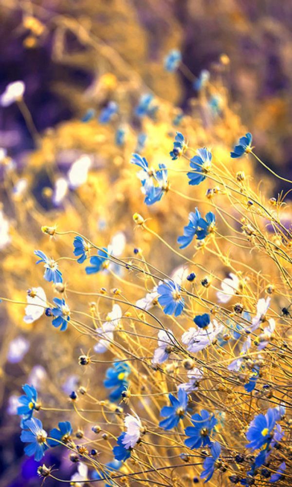 唯美图片，文字图片,情侣图片qqjay