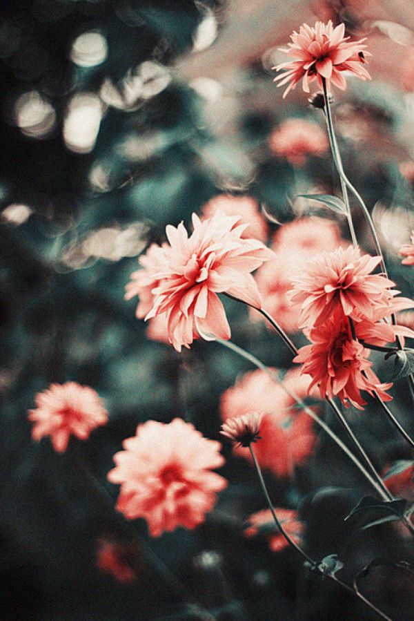 唯美图片，文字图片,情侣图片qqjay