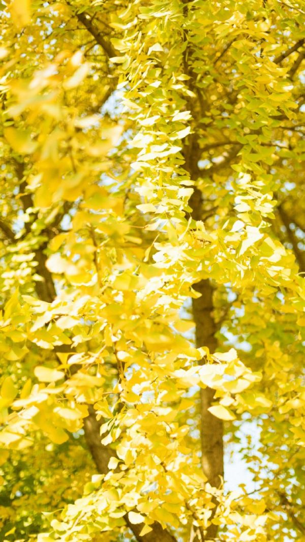 唯美图片，文字图片,情侣图片qqjay