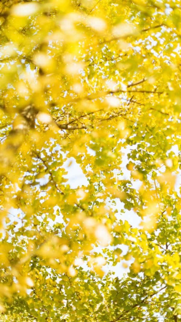 唯美图片，文字图片,情侣图片qqjay