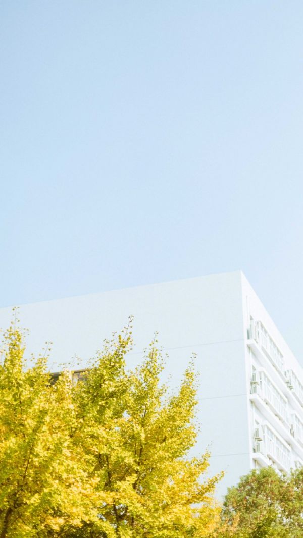 唯美图片，文字图片,情侣图片qqjay