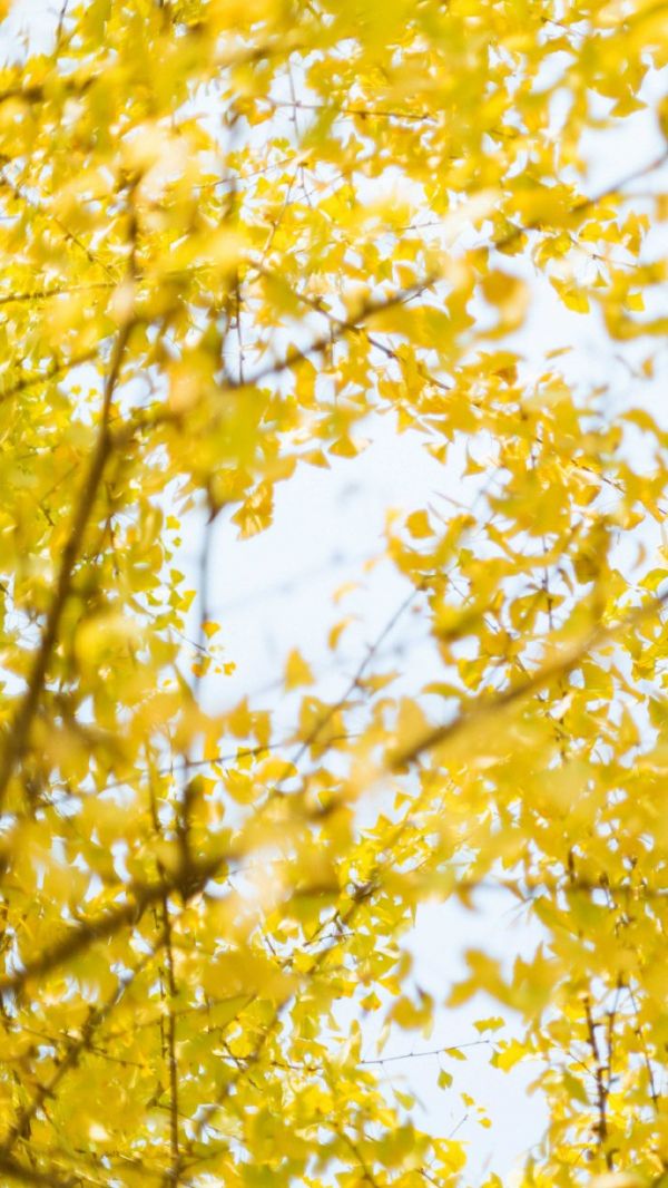 唯美图片，文字图片,情侣图片qqjay