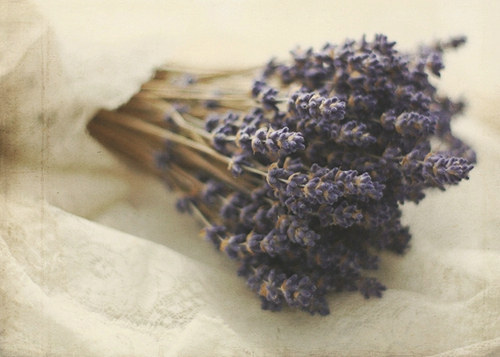 唯美图片，文字图片,情侣图片qqjay