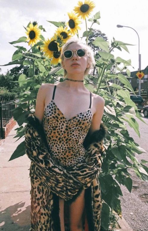 唯美图片，文字图片,情侣图片qqjay