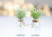 浪漫情侣游戏昵称