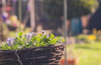 男生游戏名简约霸气