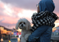 个性签名伤感绝望心痛