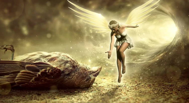 1577781235127765.png image.png