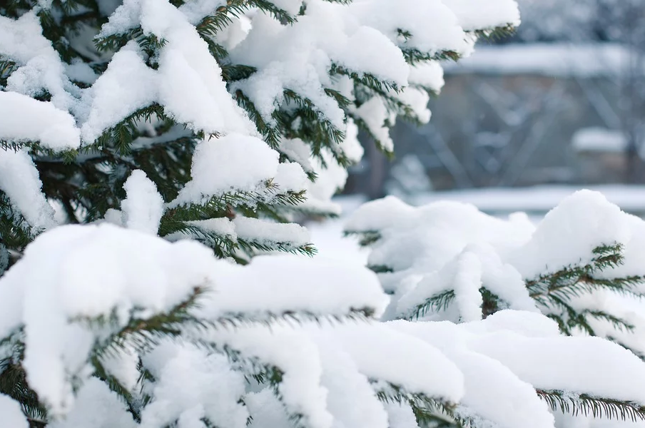 1577852626118053.png image.png