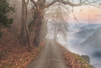 汽车美容店如何起名字