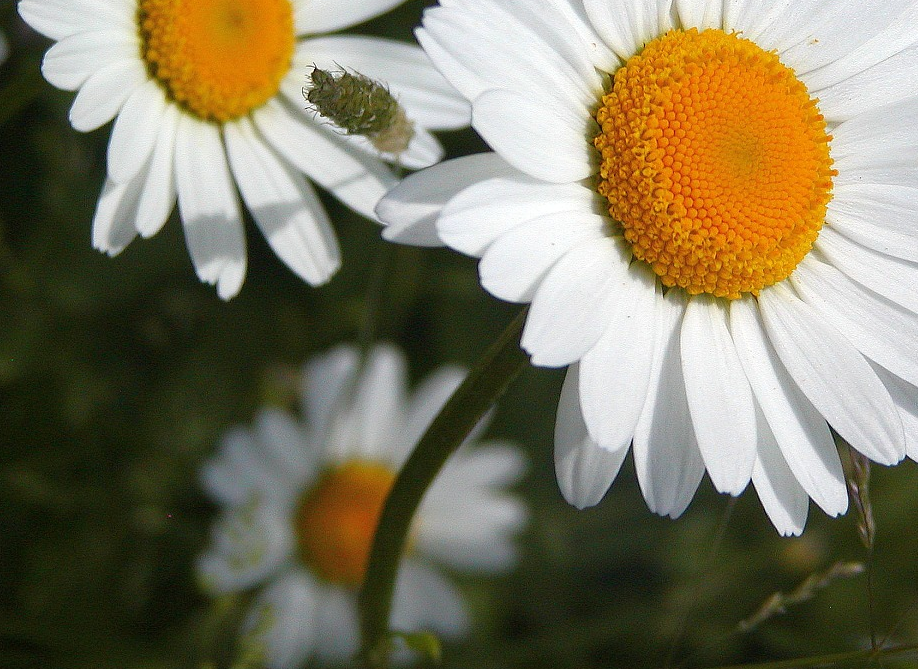 1577868850178624.png image.png