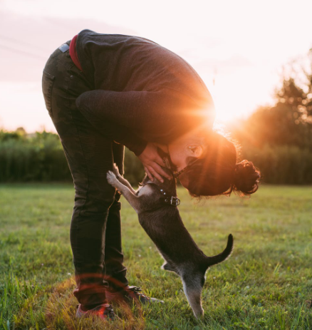 1577888608133432.png image.png