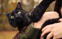 男生特别伤感个性签名 男生伤感难过