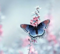 简短而又深刻的句子 有哲理经典个性签名