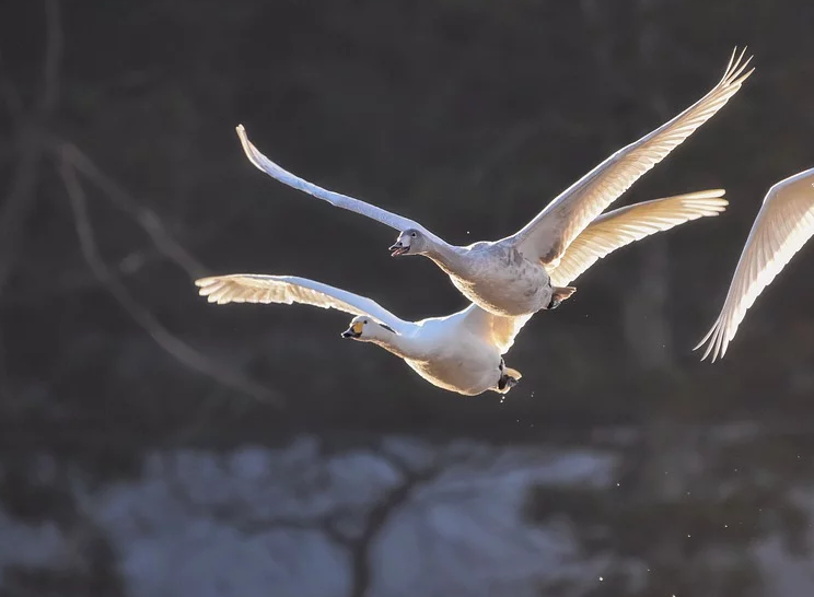 1577966007125050.png image.png