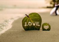 犀利哥的搞笑个性签名